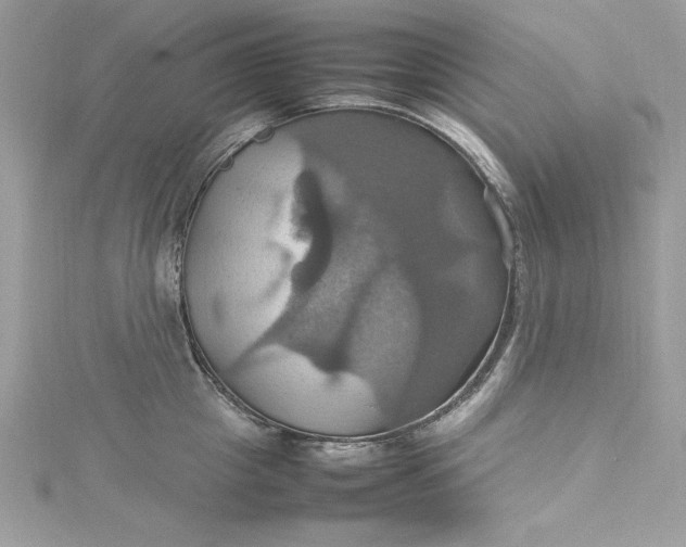 X0000115560857200911201821