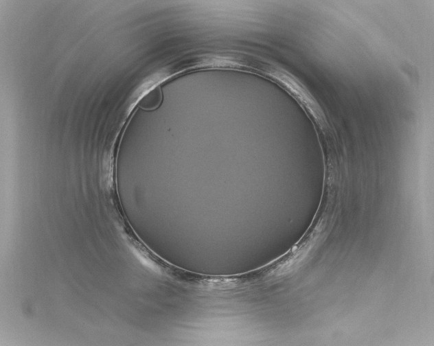 X0000115560858200911201821