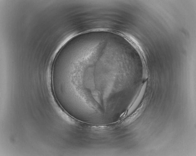 X0000115560859200911201821