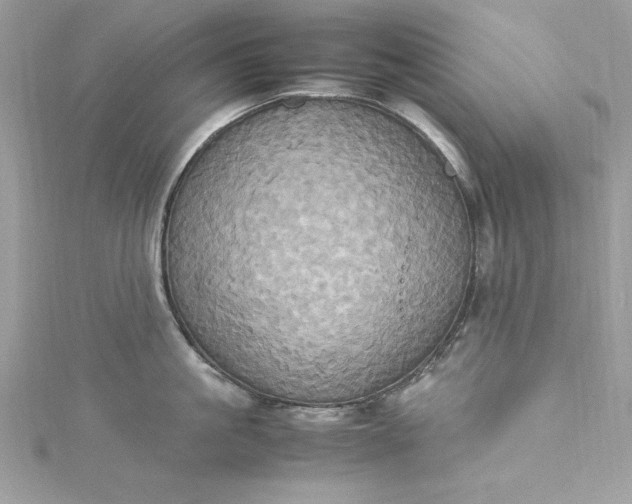 X0000115560861200911201821