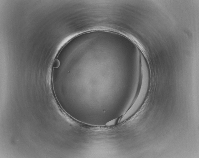 X0000115560862200911201821