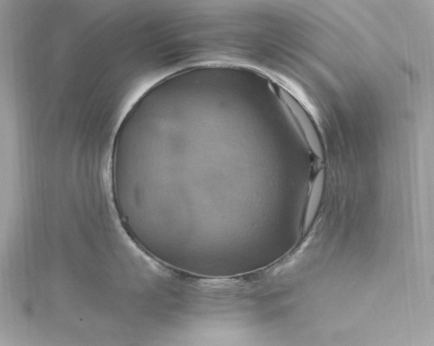 X0000115560863200911201821