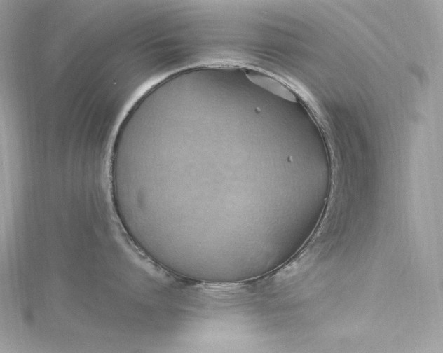 X0000115560864200911201821