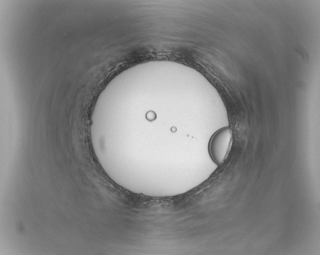 X0000115560865200911201820