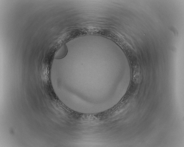 X0000115560866200911201820