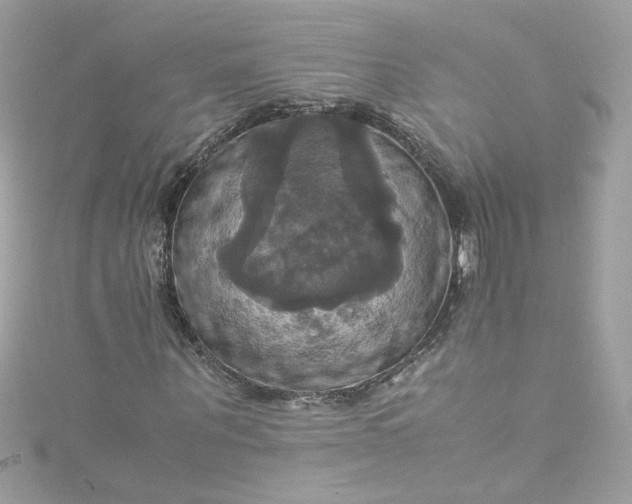 X0000115560867200911201820