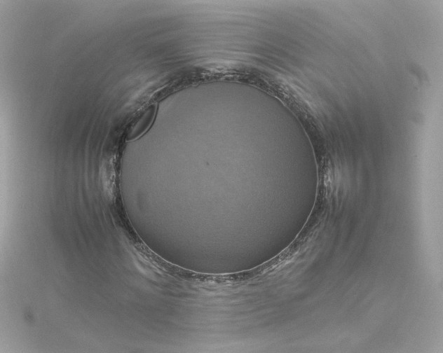 X0000115560868200911201820