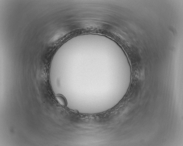 X0000115560869200911201820