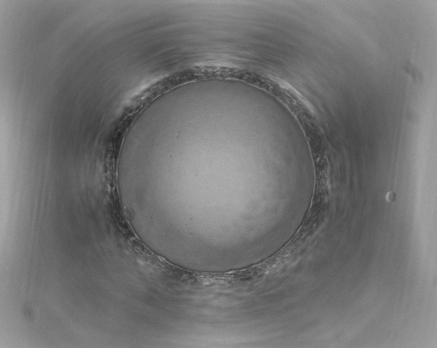 X0000115560870200911201820