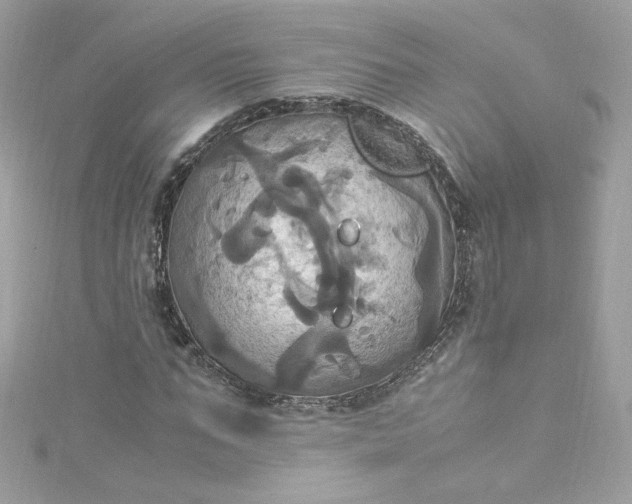 X0000115560871200911201820