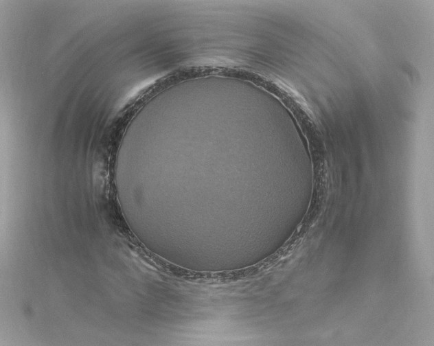 X0000115560872200911201820