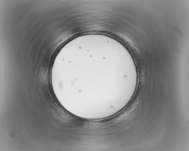 X0000115560873200911201820