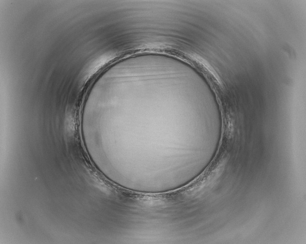 X0000115560874200911201820