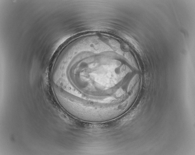 X0000115560875200911201820