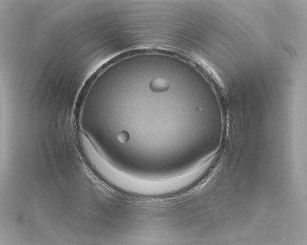 X0000115560876200911201820