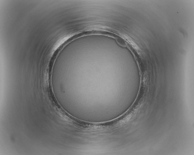 X0000115560877200911201820