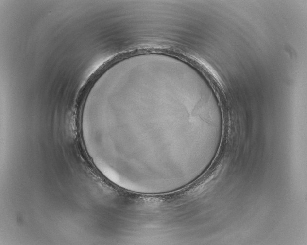 X0000115560878200911201820