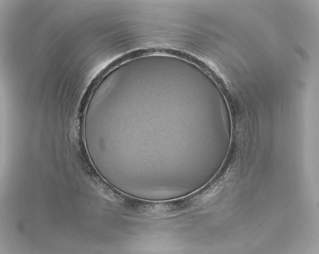 X0000115560879200911201820