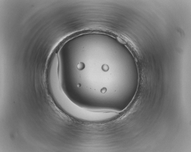 X0000115560880200911201820