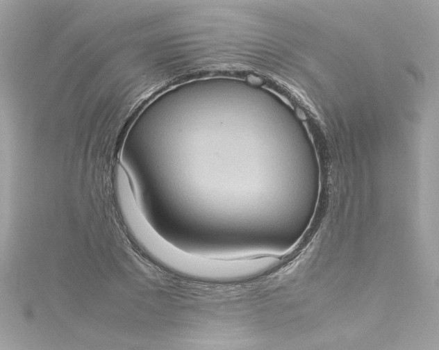 X0000115560881200911201820