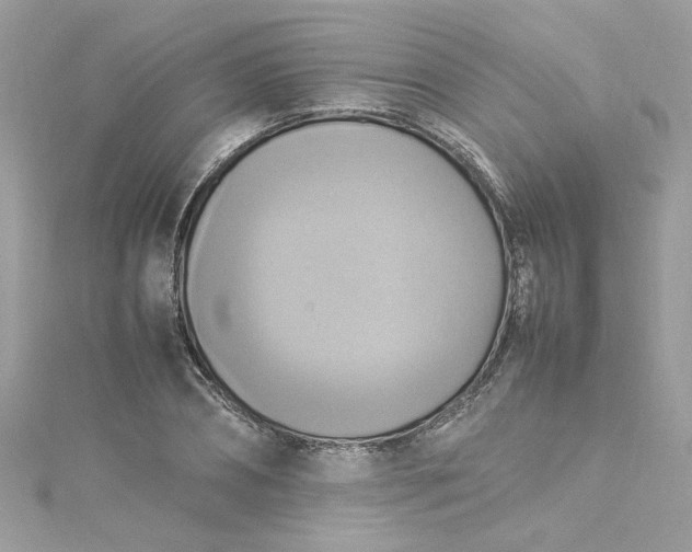 X0000115560882200911201820