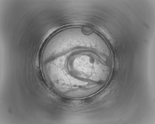 X0000115560883200911201820