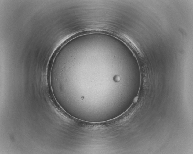 X0000115560884200911201820