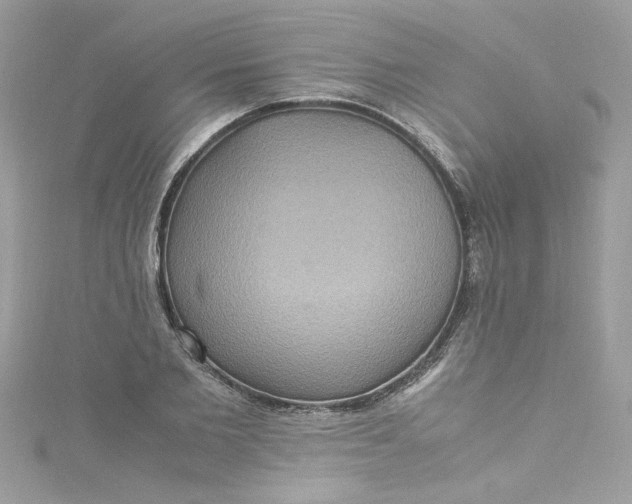 X0000115560885200911201820