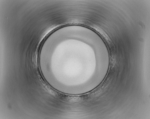 X0000115560886200911201820