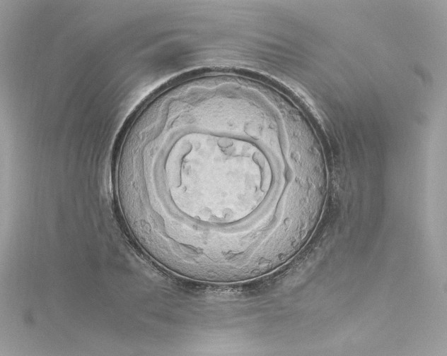 X0000115560887200911201820