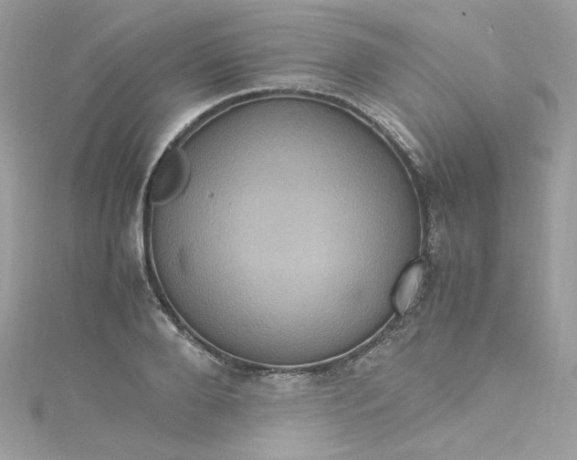 X0000115560888200911201820