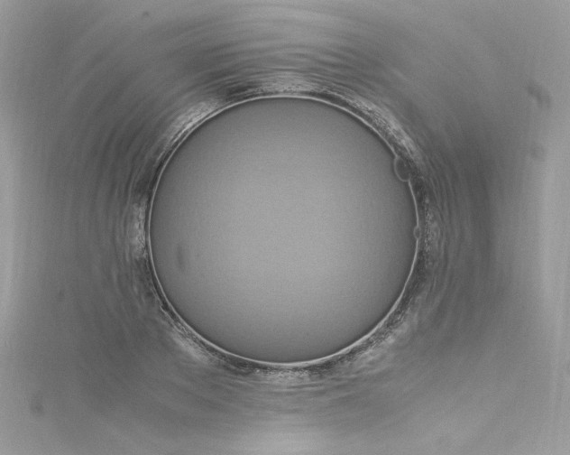 X0000115560889200911201820