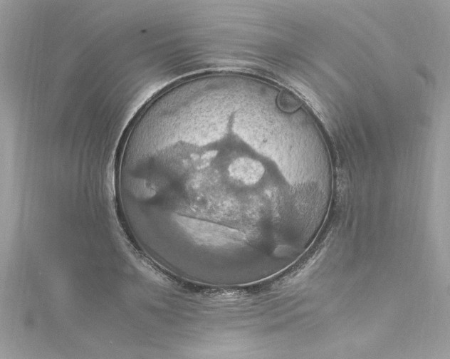 X0000115560891200911201820