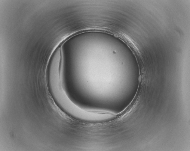 X0000115560892200911201820