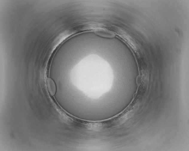 X0000115560893200911201820