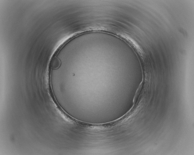 X0000115560894200911201820