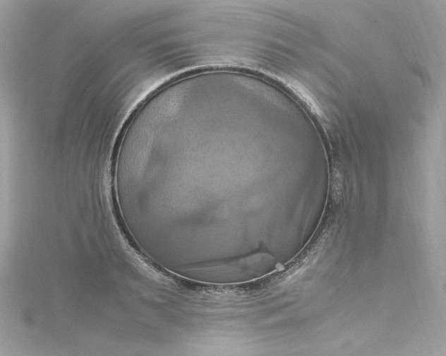 X0000115560895200911201820