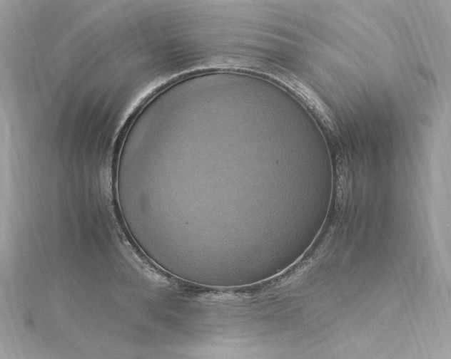 X0000115560896200911201820