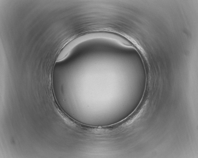 X0000115560897200911201820