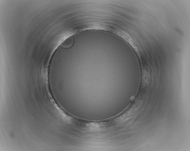 X0000115560898200911201820