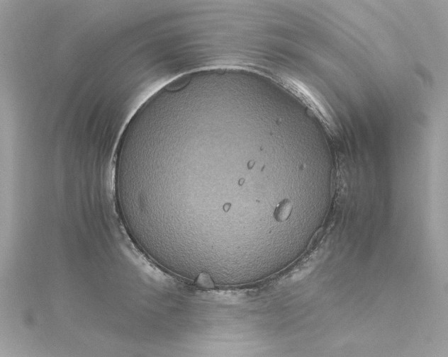 X0000115560900200911201820