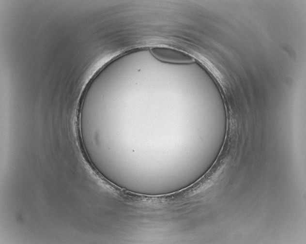 X0000115560901200911201820