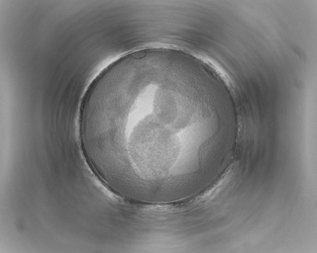 X0000115560902200911201820