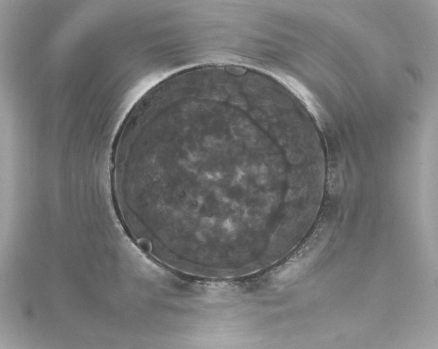 X0000115560903200911201820