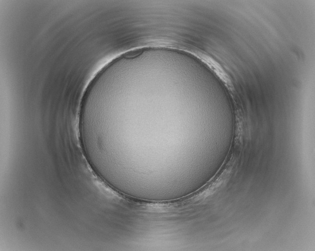 X0000115560904200911201820