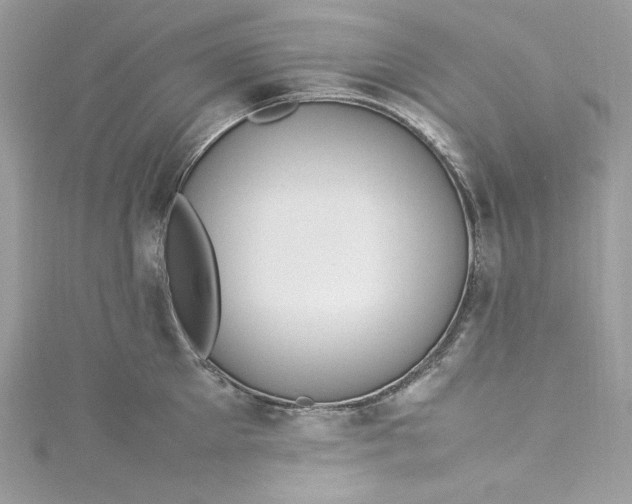 X0000115560905200911201820