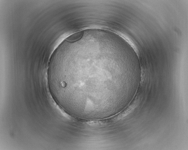 X0000115560906200911201820