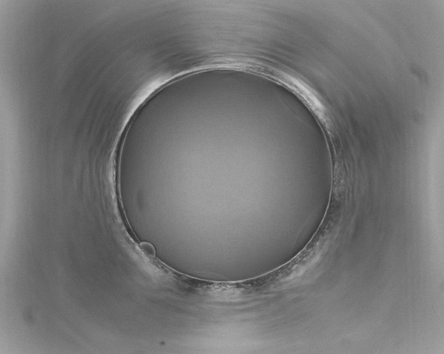 X0000115560907200911201820