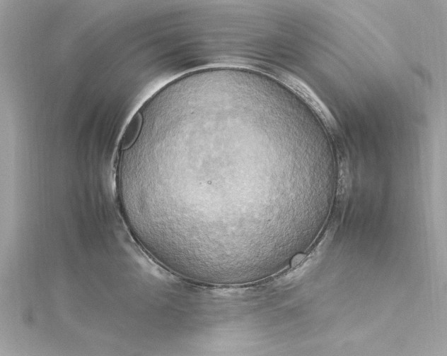 X0000115560908200911201820