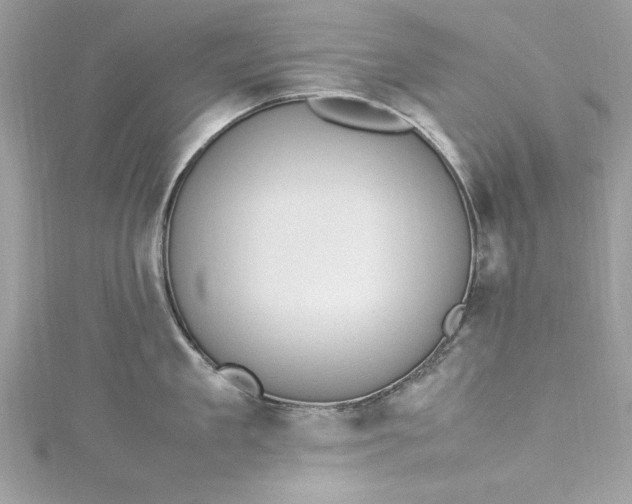 X0000115560909200911201820